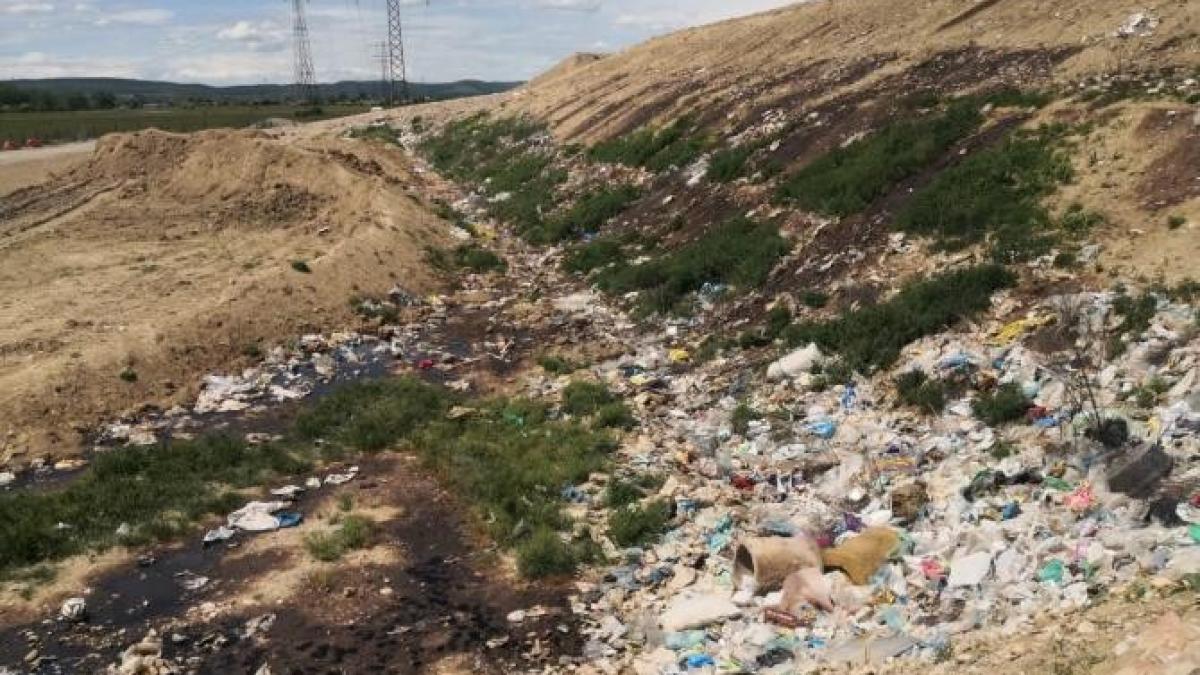 whatsapp-image-2021-06-07-at-23-09-27_34822600