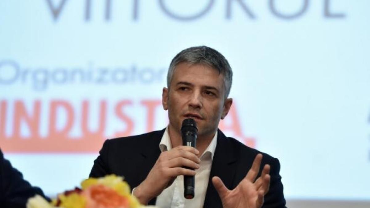 sorin-mierlea-critici_71870700