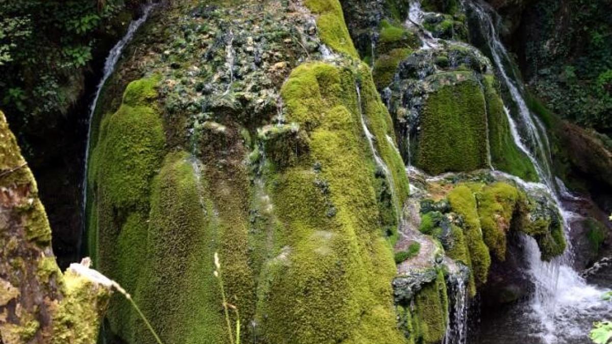 vela-cere-proiect-natprc-ccprc-a6ional-de-restaurare-sprc-ccprc-a6i-reconstructprc-ccprc-a6ie-a-cascadei-bigaprc-ccprc-86r_71489800