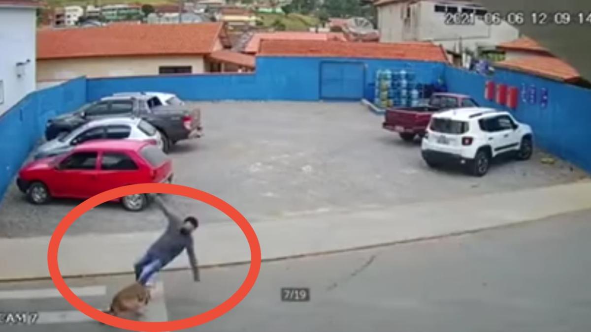 barbat-lovit-de-caine-botosani_65091500