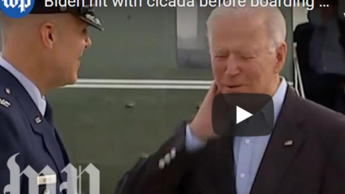 biden--atacat-de-insecte-inainte-de-a-pleca-spre-europa_87771700