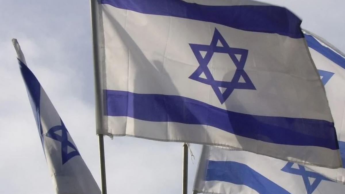 israelul-devine-prima-tara-care-interzice-comertul-cu-blanuri-de-animale-pentru-industria-modei_62886300