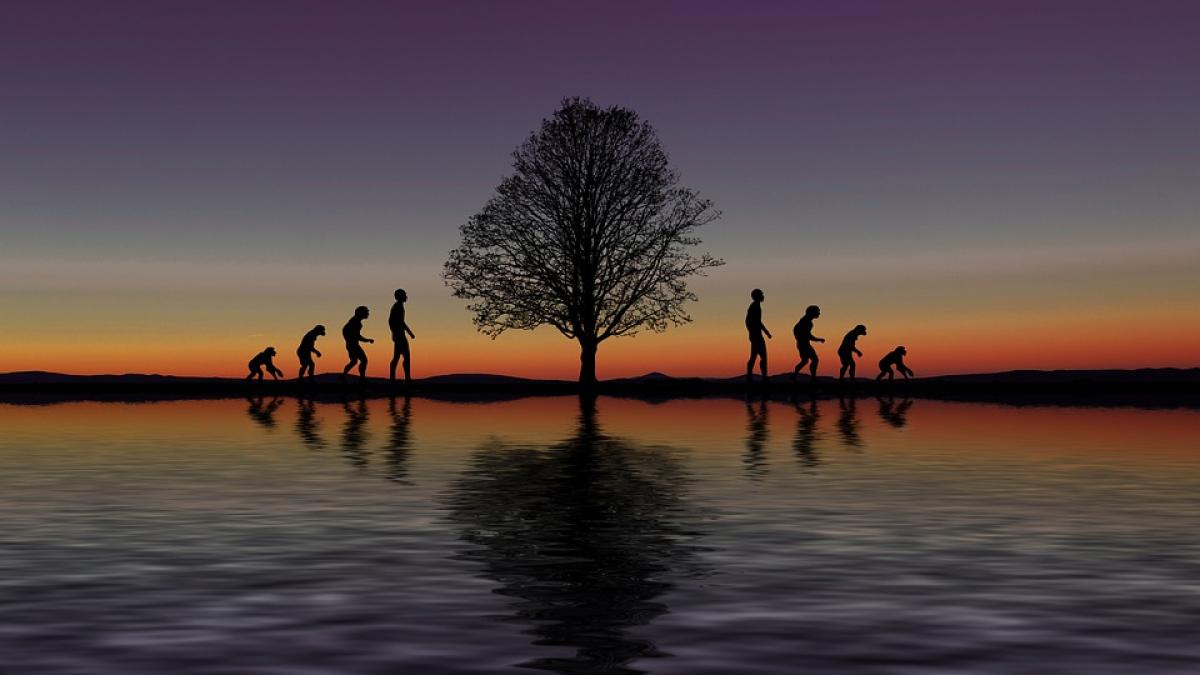 evolutie-digitalizare_07344000