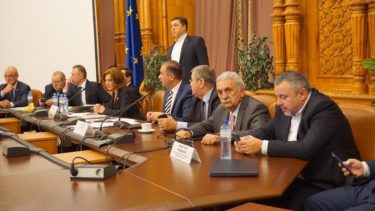 vasile-varga-pnl_68556500