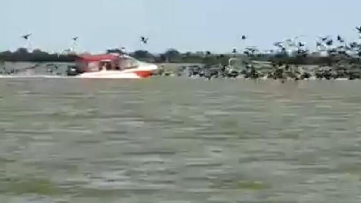 barci-de-mari-viteza-intra-direct-in-pelicanii-din-delta_07264800