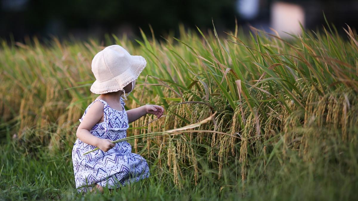 fetita_moarta_camp_constanta_62115800