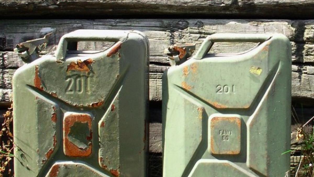 canistra_ilustrativ_pixabat_international_44884800