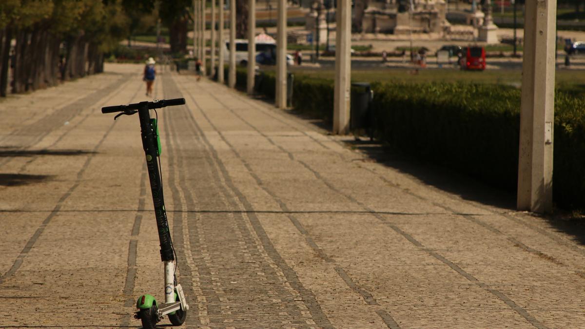 garden-5427266_1920_22749100