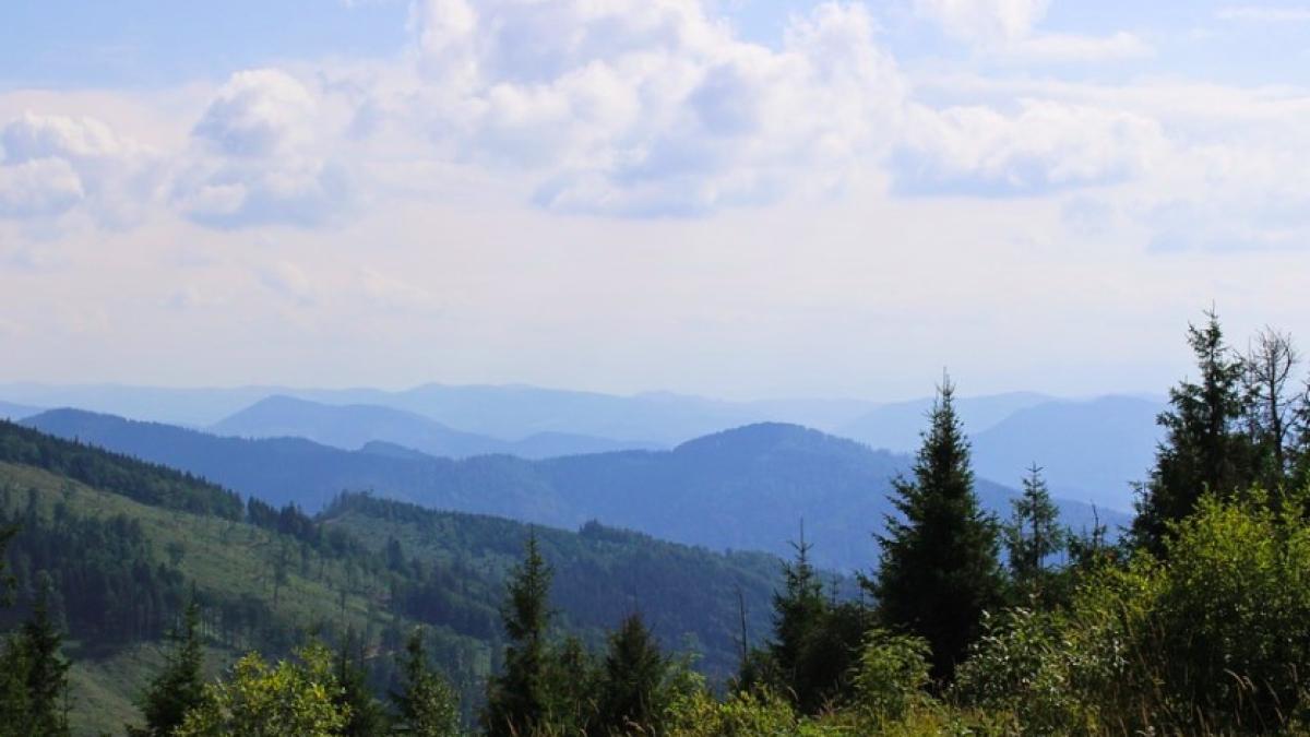 carpati_romania-ilustrativ_pxb_09808600