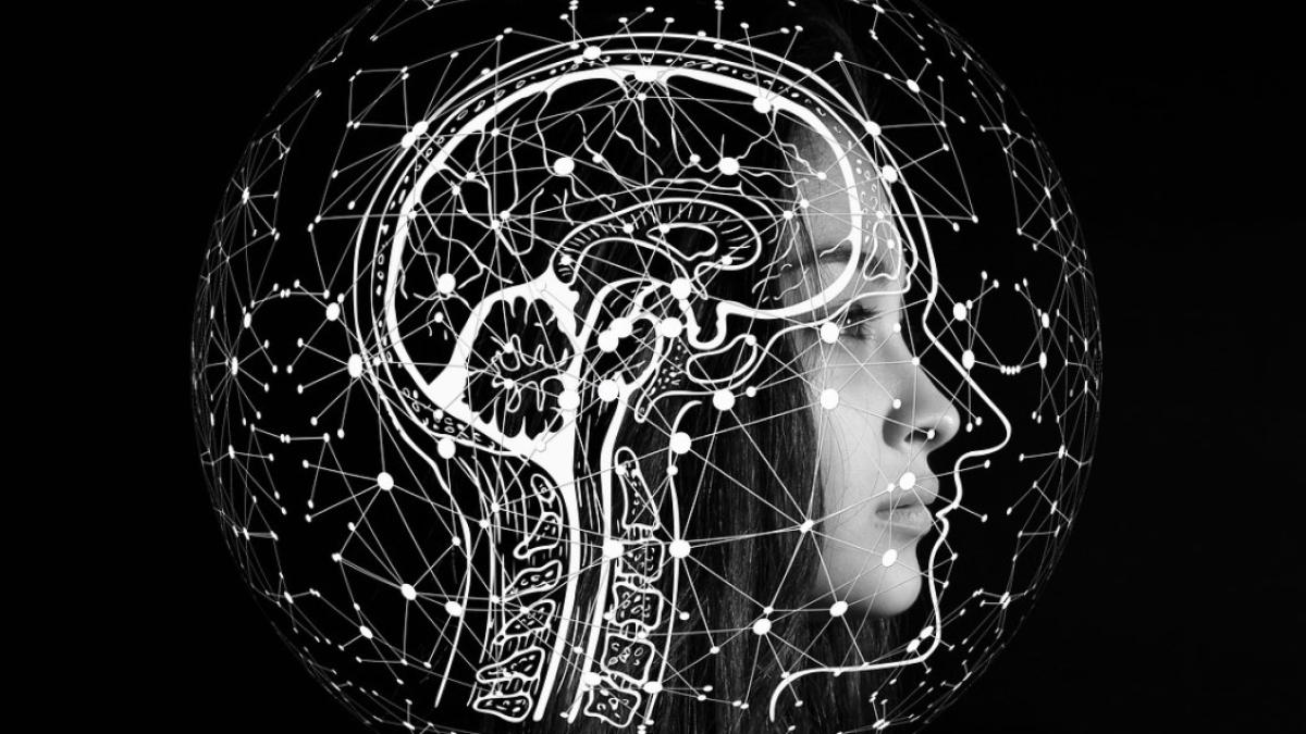 creier_international_ilustrativ_inteligenta_43156400