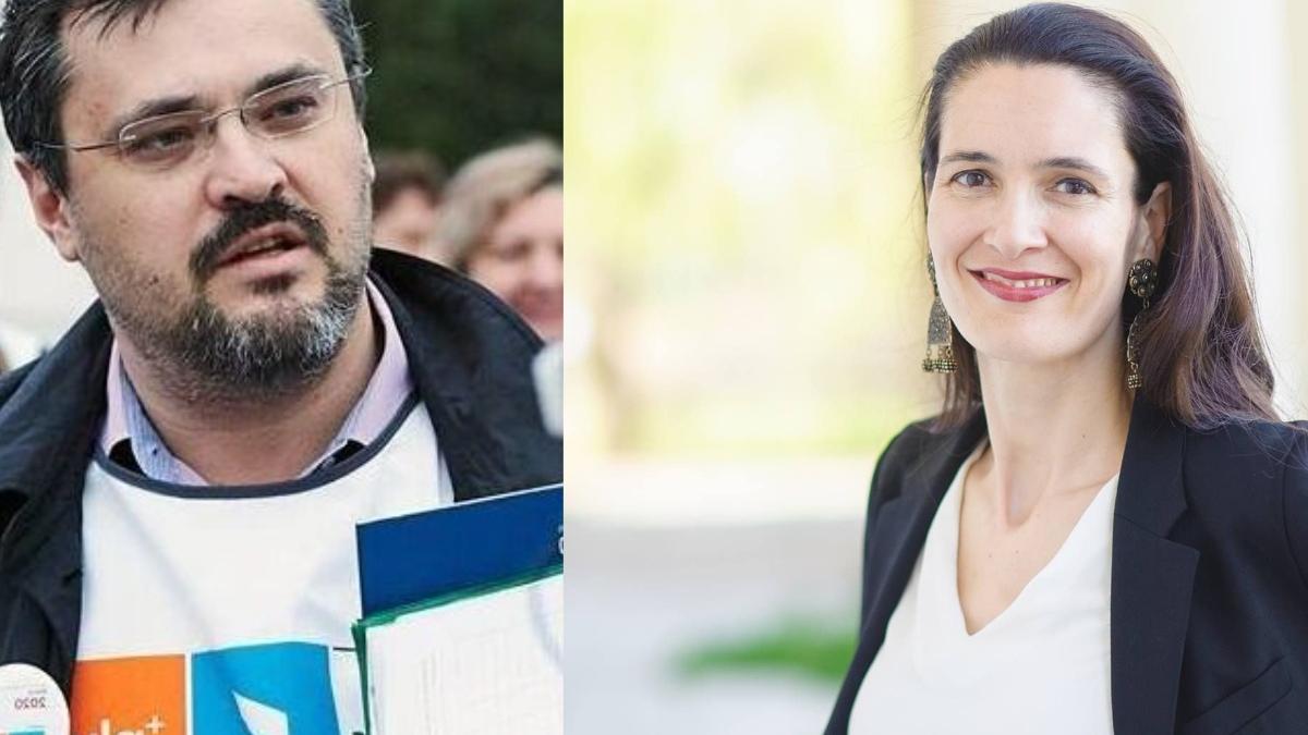 sorin-grindeanu--lui-ghinea_-ati-ajuns-un-clotilde-armand-cu-barba-si-burta_94469600