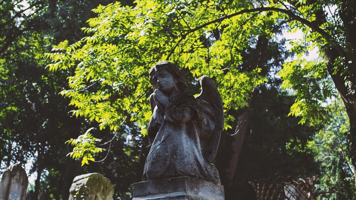 madeleine-mccann-disparitie_58894200