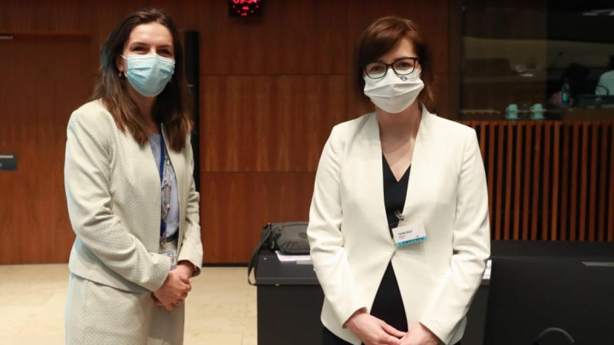 mihaila-ministerul-sanatatii_08135700