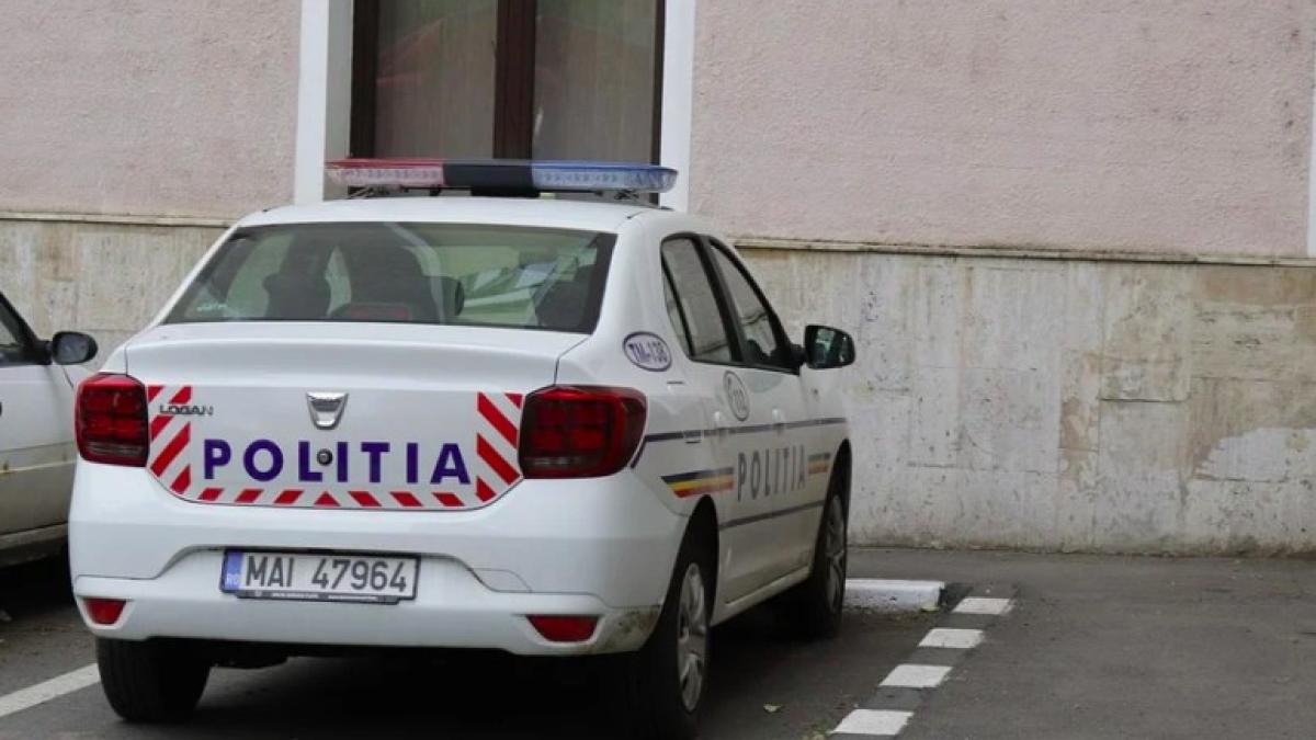 politia-romania_ilustrativ_pxb_03462900