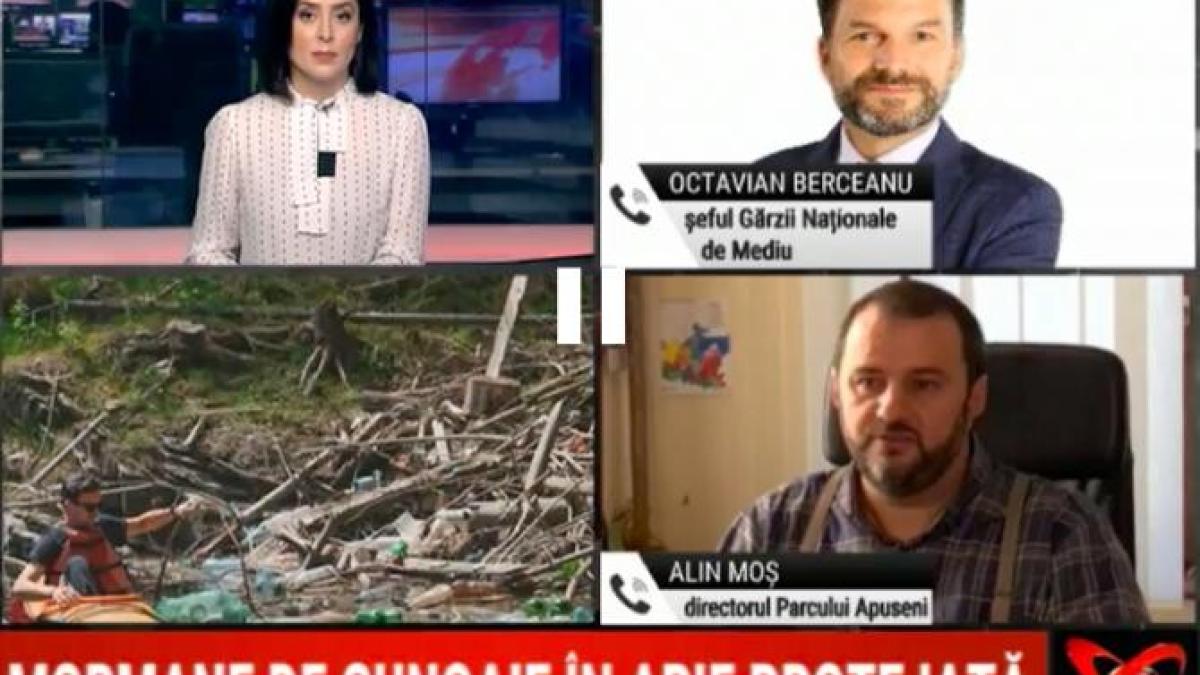 gunoaie_parc_apuseni_86353800