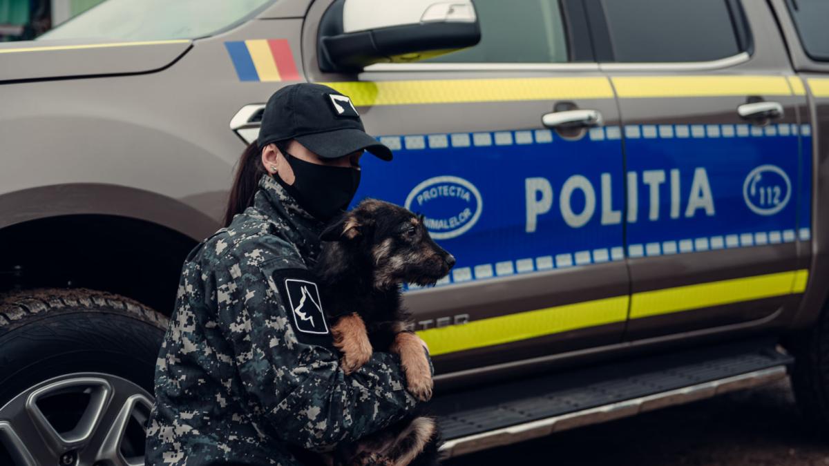 politia-animalelor_78493800