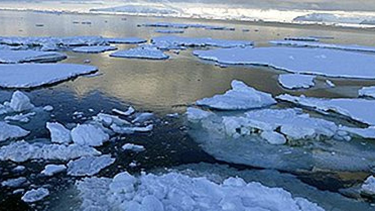 oceanul-sudic_68700200