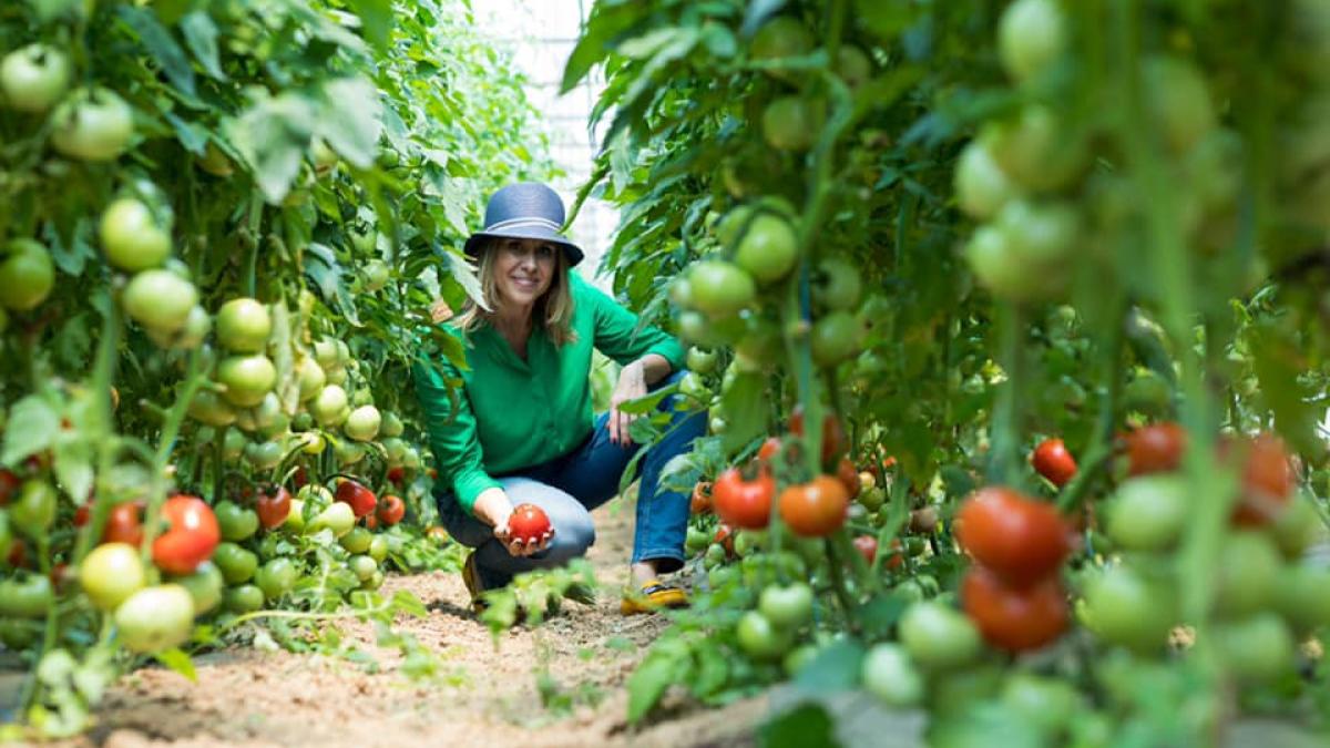 mihaela-bilic-alimente-permise-interzise_53888900