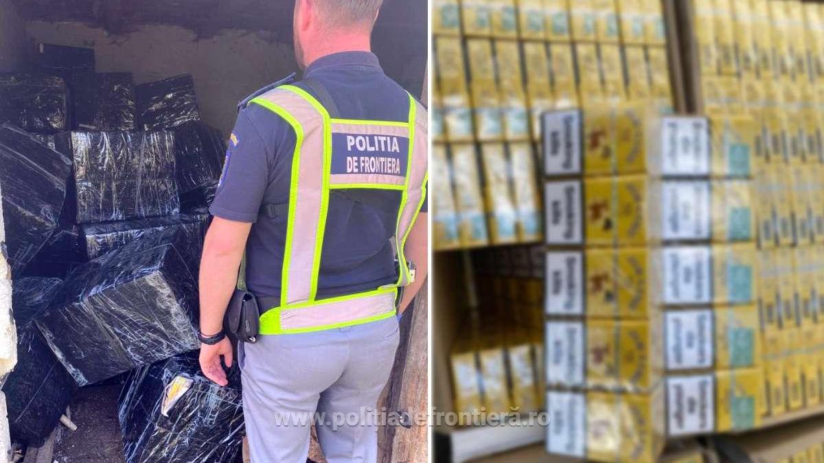 tigari_frontiera_96480400