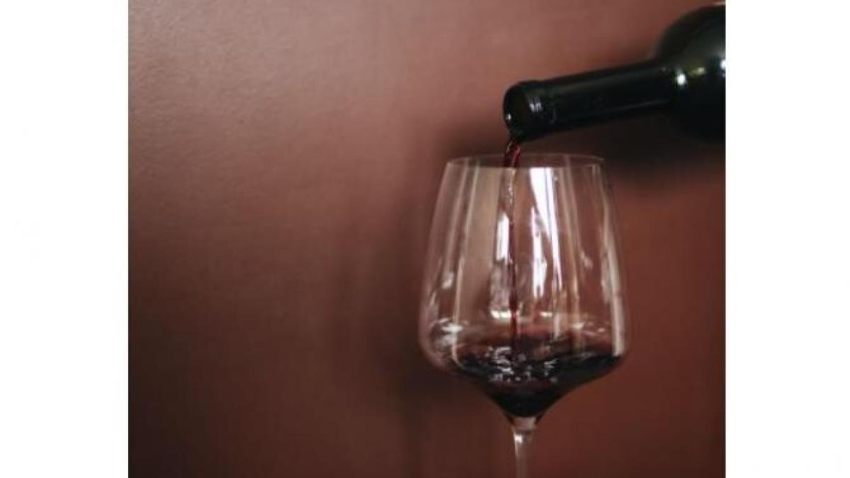 vin_foto_pexels_32555800