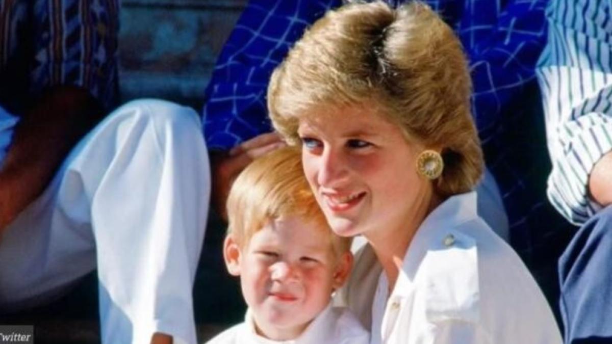 printesa-diana_05992400