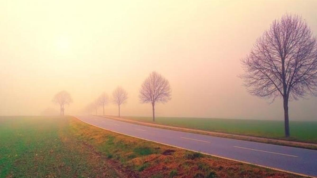 anm--atentprc-ccprc-a6ionaprc-ccprc-86ri-meteo-de-vreme-severaprc-ccprc-86-imediataprc-ccprc-86--cod-galben-iprc-ccprc-82n-mai-multe-judetprc-ccprc-a6e_24513400