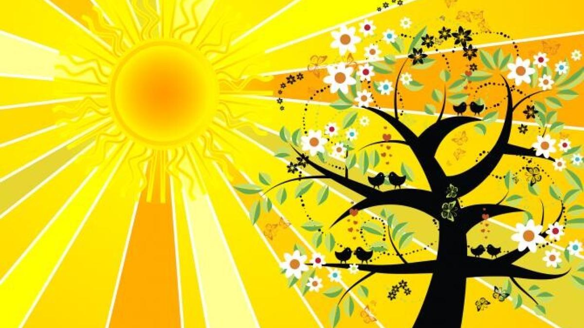 solstitiul-de-vara-2021--astazi-este-cea-mai-lunga-zi-din-an--legatura-cu-sanzienele-sau-dragaica--sarbatoare-a-iubirii_98534900