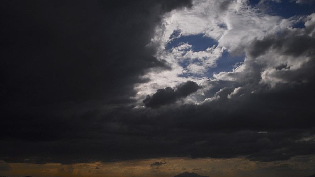 cod-rosu-de-ploi_39565900