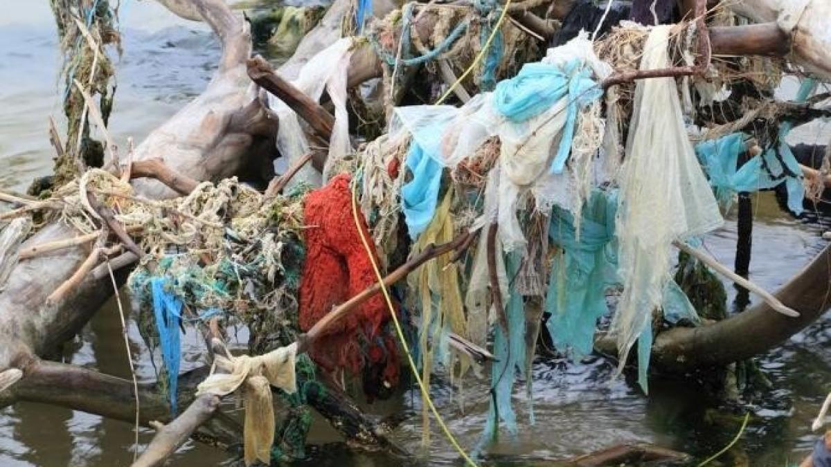 oceane-poluate_51458300