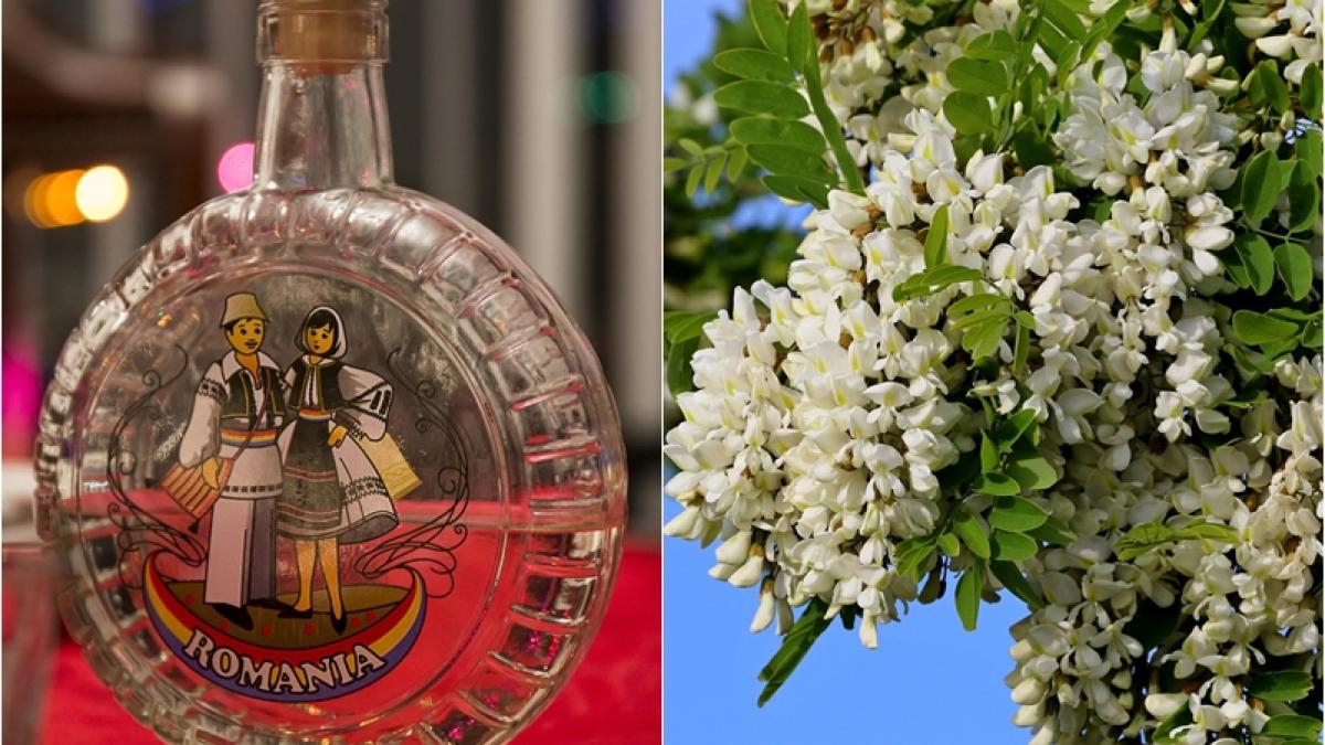 cum-faci-tuica-din-flori-de-salcam--reteta-explicata-pas-cu-pas_60898100