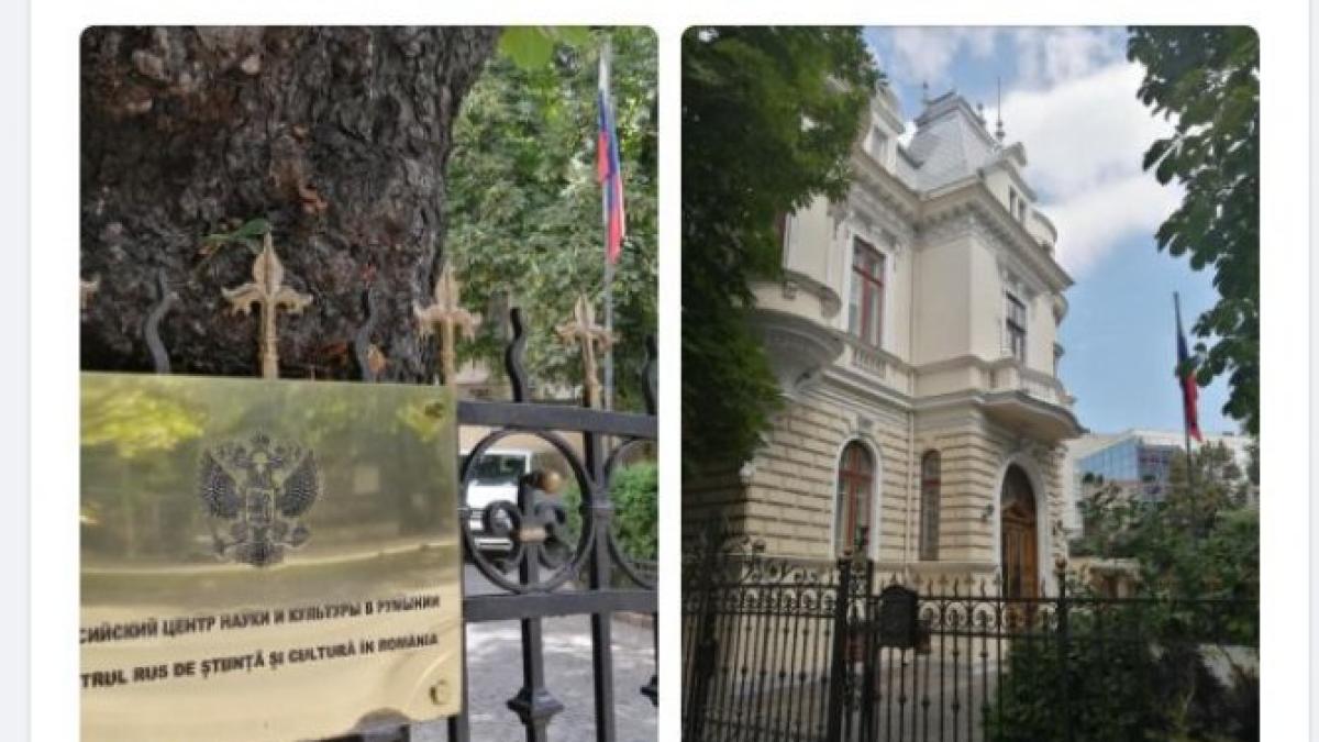 mikhail-davydo-poza-01_39865200_72652500