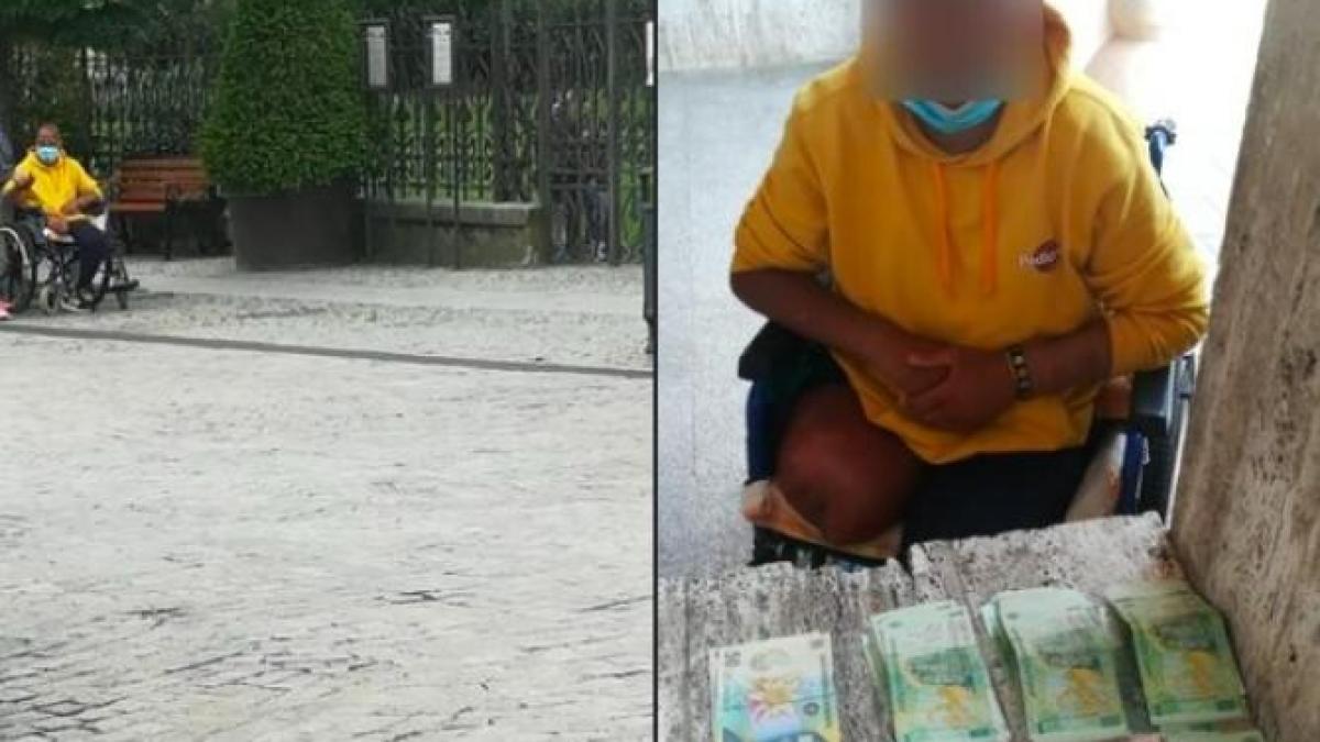 cersetor_iasi_33103500