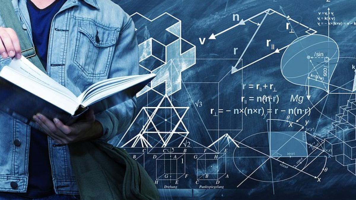 scoala-elevi-corgenti-colegiu-capitala_73543300