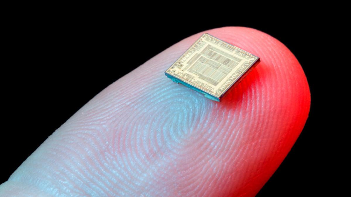 microcipuri_53466400