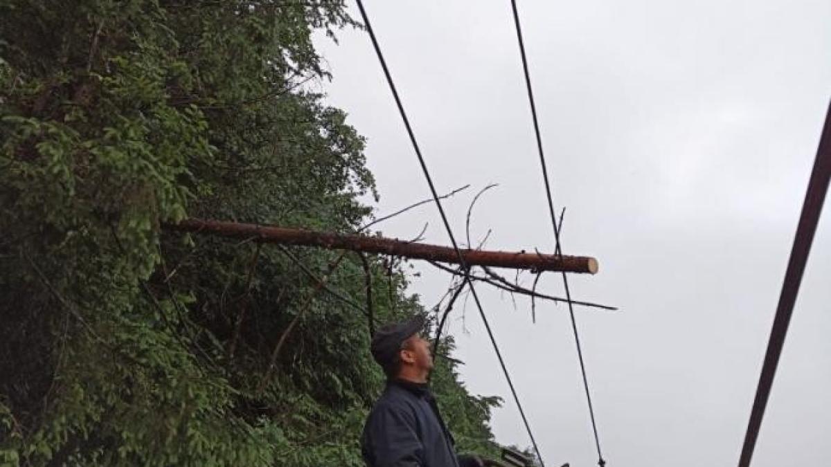 traficul-feroviar-a-revenit-la-normal-dupaprc-ccprc-86-furtunile-puternice-de-noaptea-trecutaprc-ccprc-86_11842500