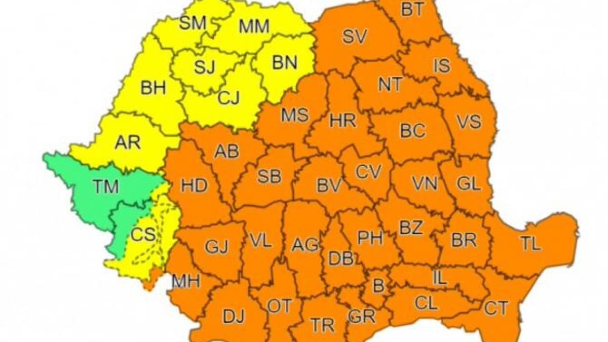 cod-portocaliu-de-vijelii-cod-galben-anm_84205300