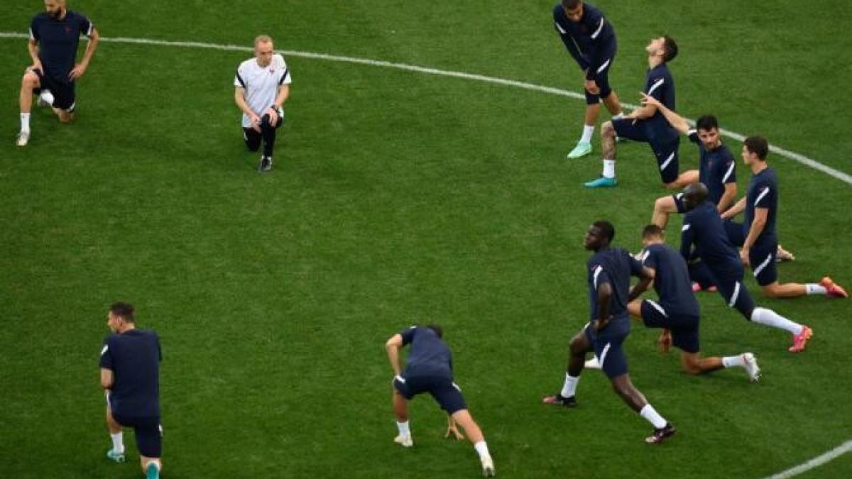 franta_elvetia_ilustrativ_agerpres_83588300