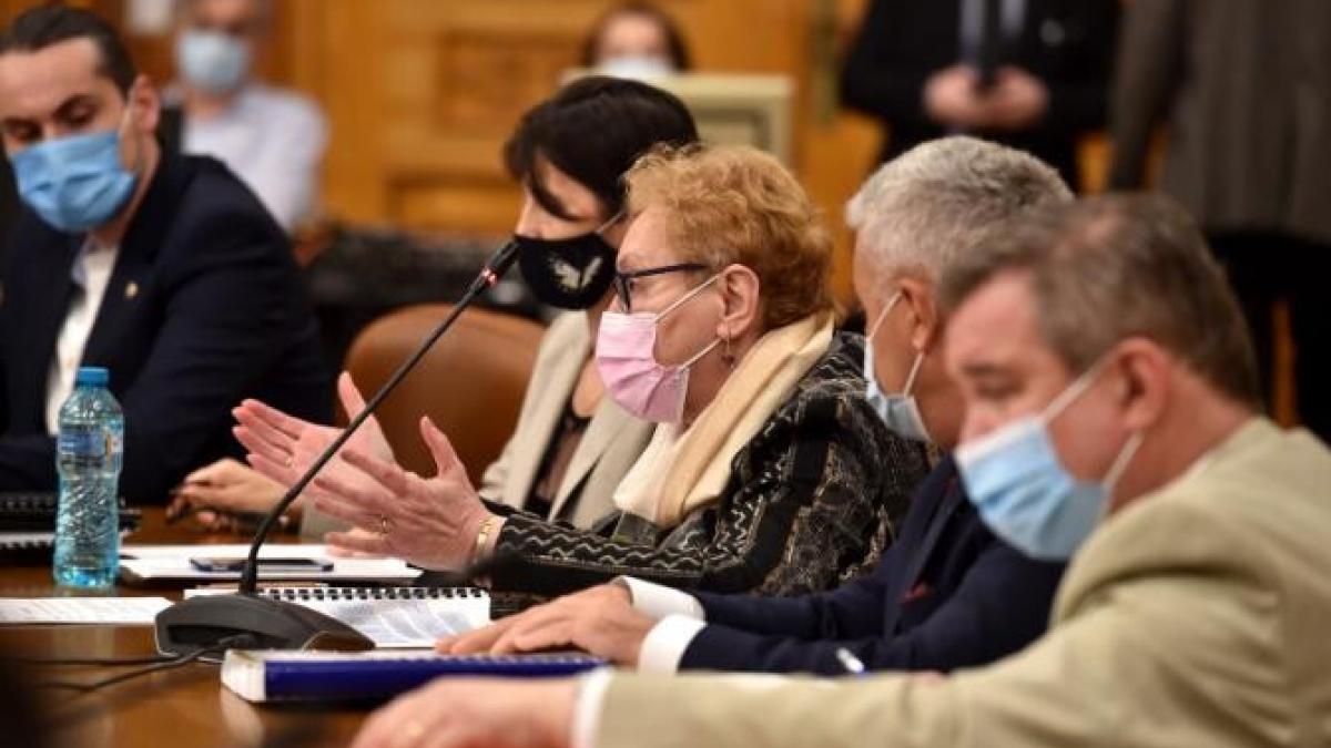 revocare-renate-weber--dragu_78037700