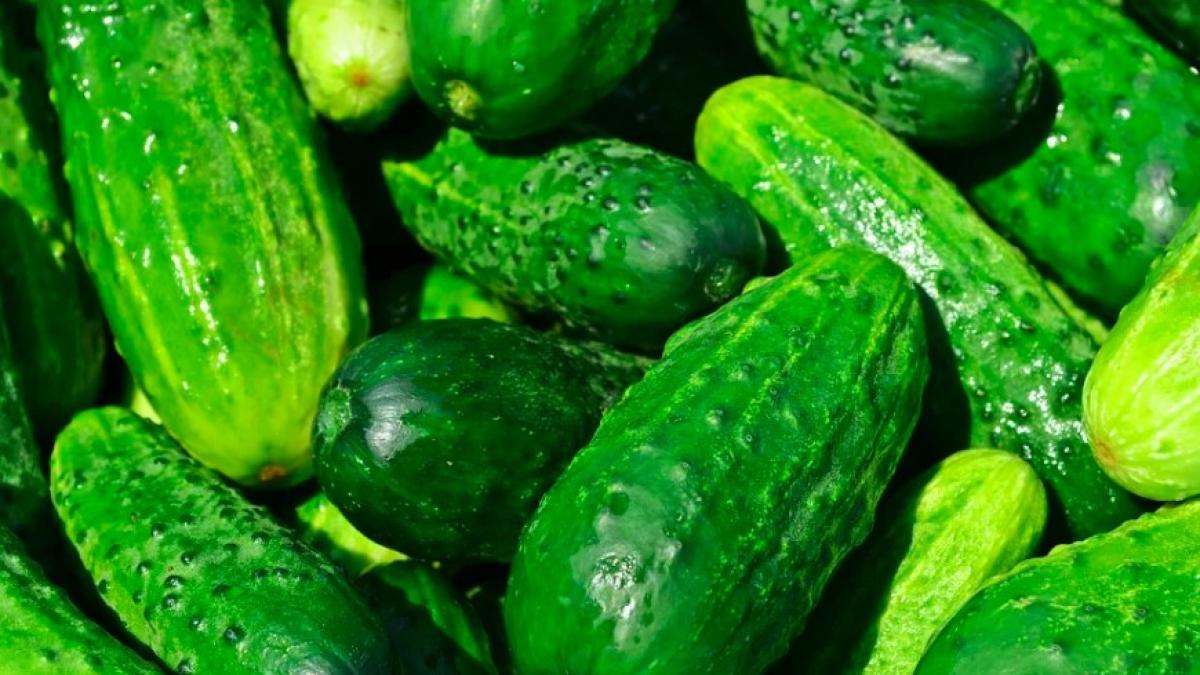 castraveti_ilustrativ_pxb_83513300