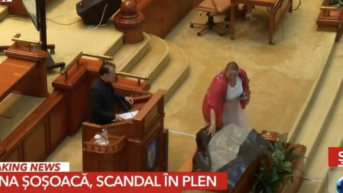 diana-sosoaca-circ-parlament_41487600