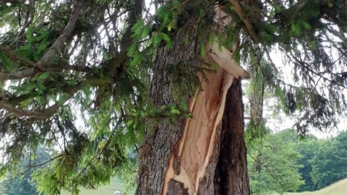 baprc-ccprc-86rbat-lovit-de-fulger-iprc-ccprc-82n-neamtprc-ccprc-a6--a-murit-pe-loc_56968000