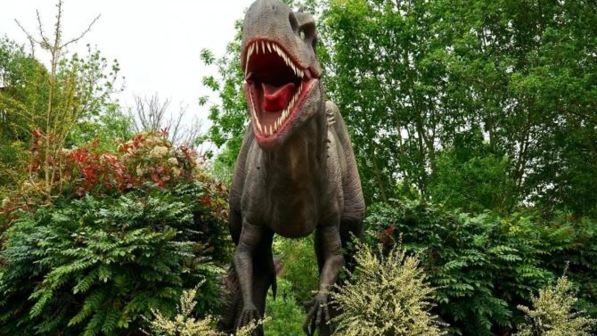 dinozauri-studiu-asteroid_09244100