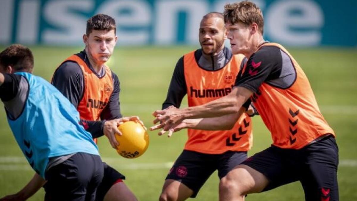 braithwaite_international_ilustrativ_danemarca_finlanda_56921000