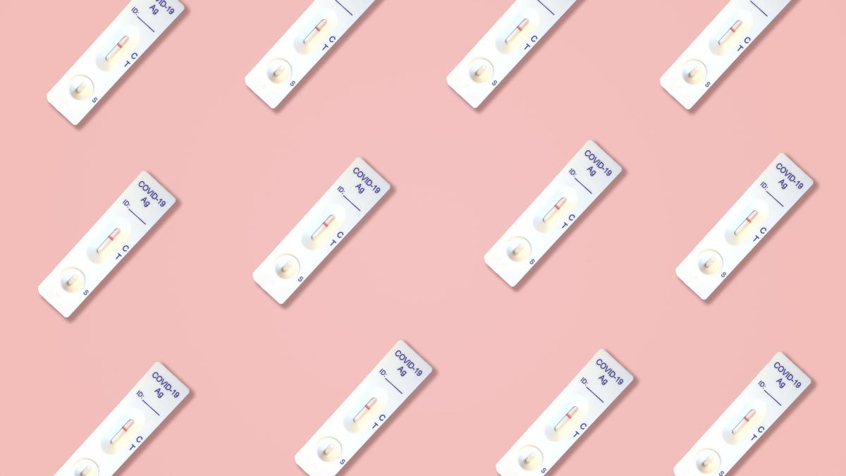 test-6128573_1920_86037600