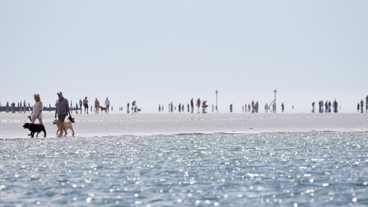 vreme_prognoza_anm_canicula_pixabay_22191200