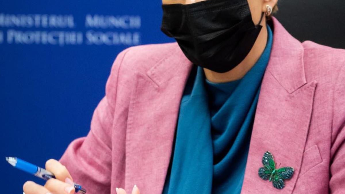 raluca-turcan-proiect-dezbatare_53213700