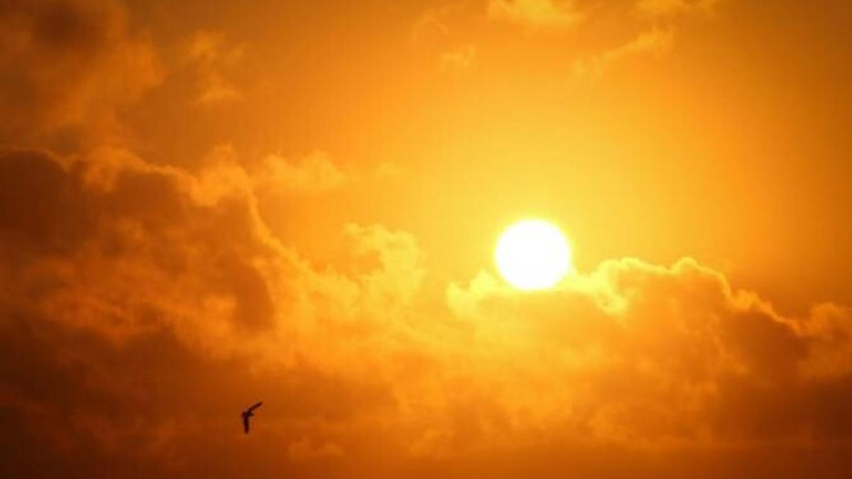 elena_mateescu_vreme_anm_foto_pexels_38650200