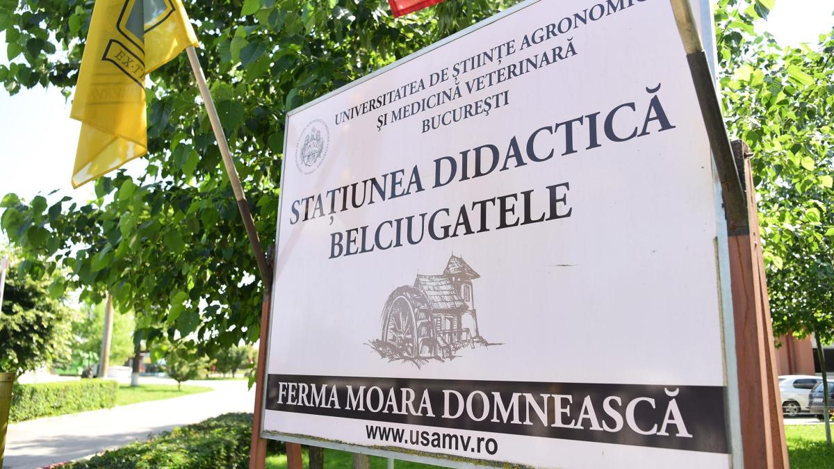 statiune_usamv_fb_70565900