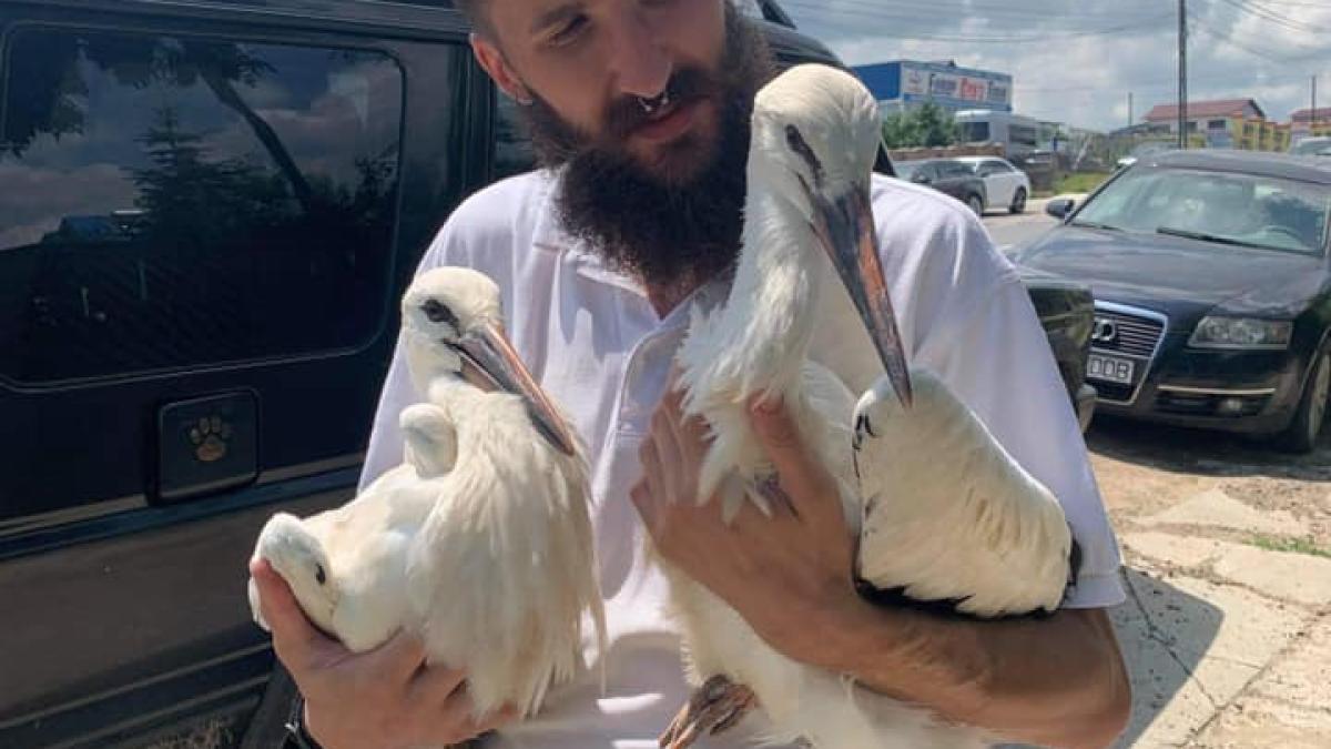 barza-salvata7_19461500