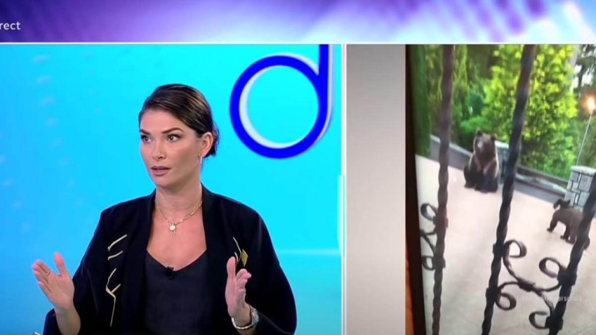 alina-puscas--revolta-la-adresa-autoritatilor--copiii-ei--in-pericol-din-cauza-unei-ursoaice-cu-pui--cat-mai-trebuie-sa-asteptam-e-ruleta-ruseasca_96755200
